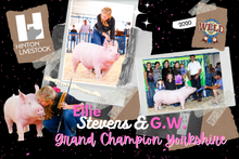 Load image into Gallery viewer, 2x3' Custom Photo Banner